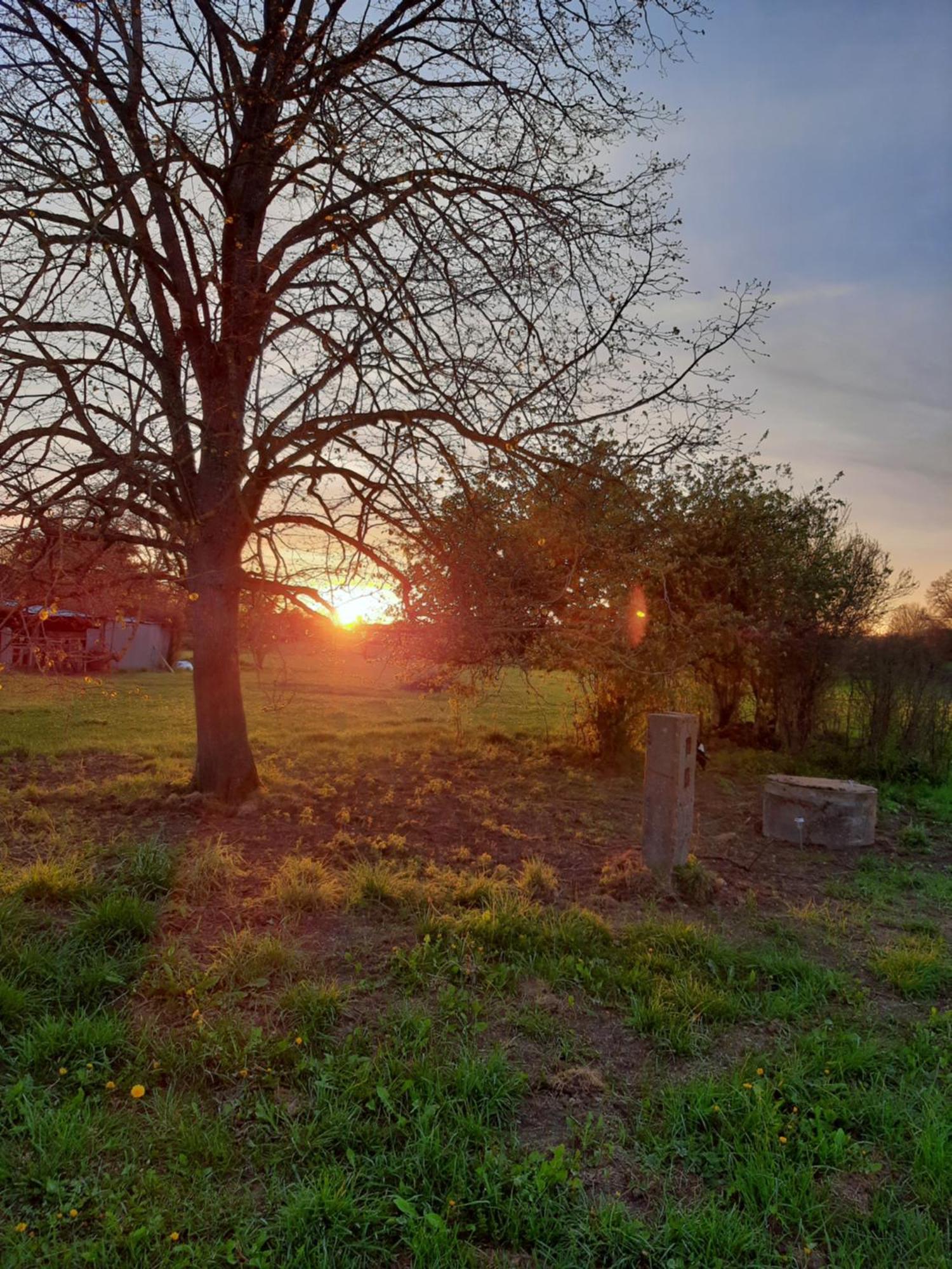 Notre Village Papillon Bed&Breakfast Neret Cameră foto